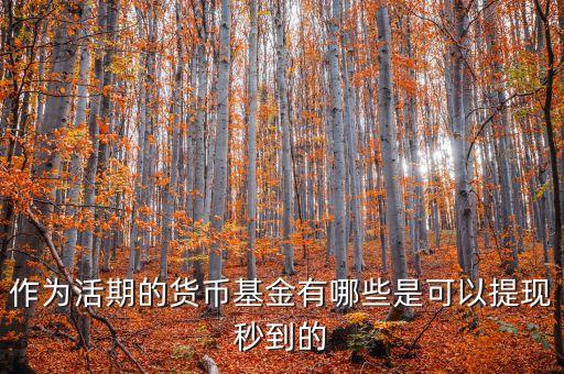 作為活期的貨幣基金有哪些是可以提現(xiàn)秒到的
