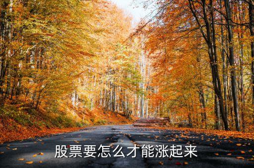 股票要怎么才能漲起來