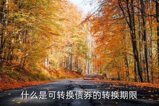 什么情況可轉(zhuǎn)換債券持有到期，什么是可轉(zhuǎn)換債券的有效期限