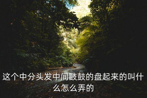 這個(gè)中分頭發(fā)中間鼓鼓的盤(pán)起來(lái)的叫什么怎么弄的