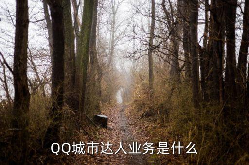 QQ城市達(dá)人業(yè)務(wù)是什么