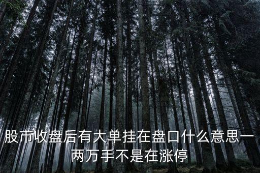 股市收盤(pán)后有大單掛在盤(pán)口什么意思一兩萬(wàn)手不是在漲停