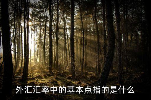 外匯基點(diǎn)是什么意思，外匯匯率中的基本點(diǎn)指的是什么