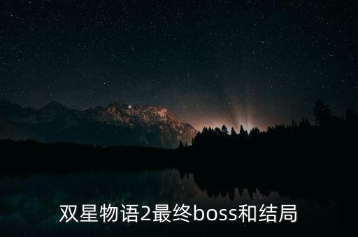 雙星汪海干什么去了，雙星 董事長