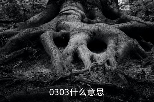 0303什么意思