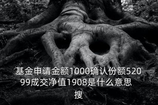 基金申請金額1000確認份額52099成交凈值1908是什么意思  搜