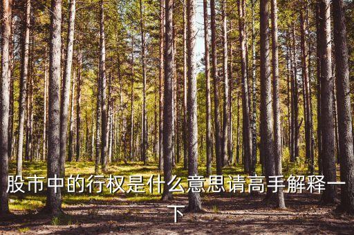 持股行權(quán)是什么，在股票里什么是行權(quán)啊