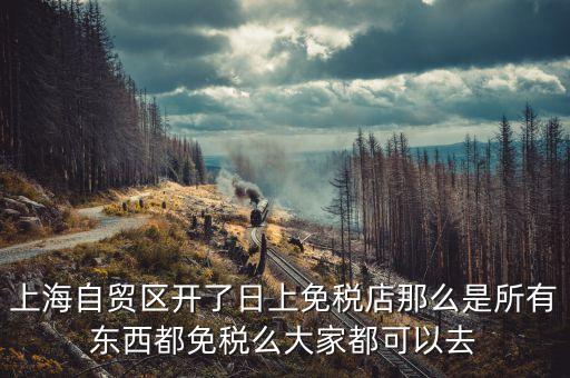 上海自貿區(qū)免稅店有些什么東西，上海自貿區(qū)有什么賣的