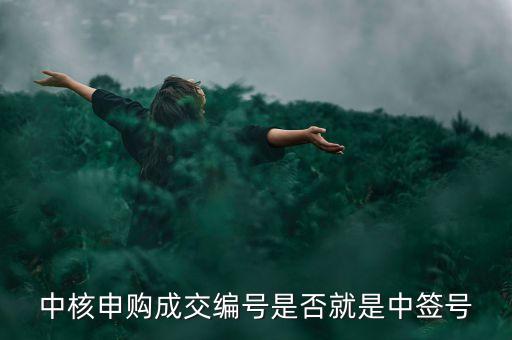成交編號(hào)是什么，您選擇了不登錄快速購(gòu)票的方式預(yù)定機(jī)票請(qǐng)牢記交易編號(hào)是什么意思
