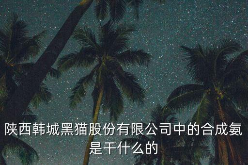 陜西黑貓是什么企業(yè)，601015屬于什么板塊