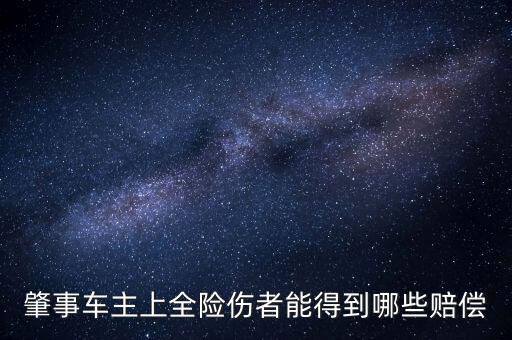 車輛全險都賠償什么，肇事車主上全險傷者能得到哪些賠償