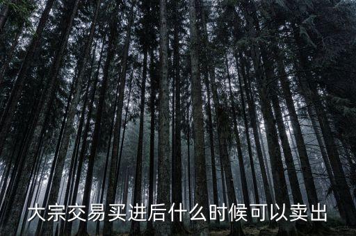 大宗交易買進(jìn)后什么時(shí)候可以賣出