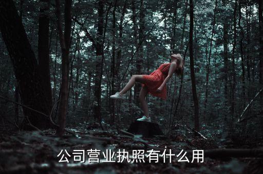公司營業(yè)執(zhí)照有什么用