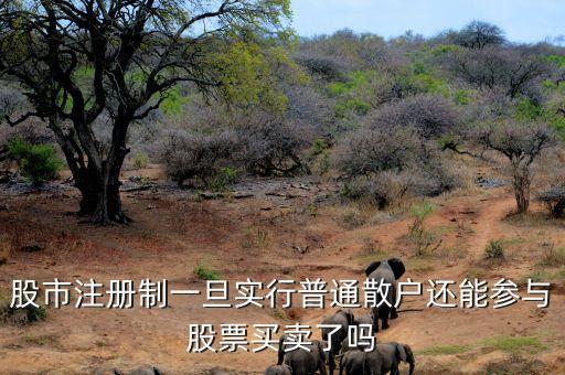 什么是注冊(cè)制改革，名詞解釋 注冊(cè)制度