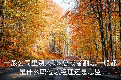 一般公司里別人稱x總或者副總一般都是什么職位總經(jīng)理還是總監(jiān)