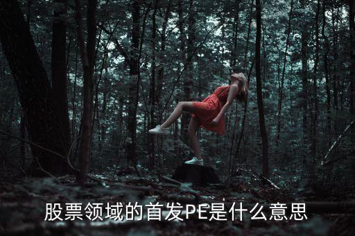 股票首發(fā)是什么意思，股票首發(fā)上市申請已獲得通過是什么意思