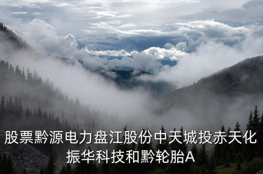 黔源電力股票屬于什么板塊，股票黔源電力盤(pán)江股份中天城投赤天化振華科技和黔輪胎A