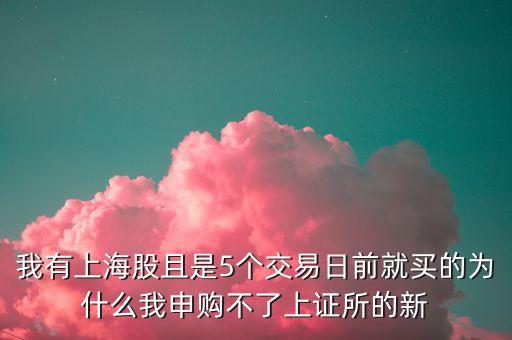 我有上海股且是5個交易日前就買的為什么我申購不了上證所的新
