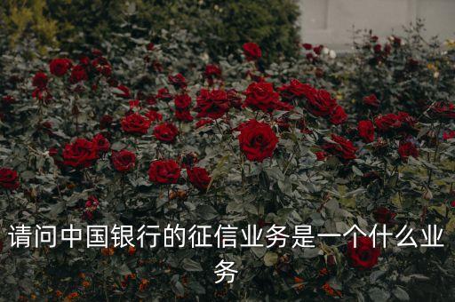 什么是征信業(yè)務(wù)，信貸及征信業(yè)務(wù)是什么意思