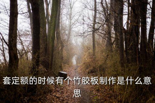 套定額的時候有個竹膠板制作是什么意思