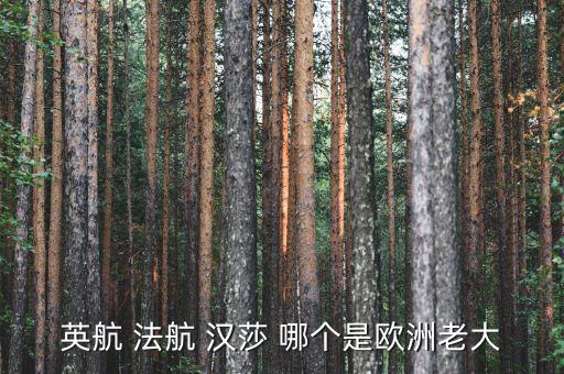 英航 法航 漢莎 哪個是歐洲老大