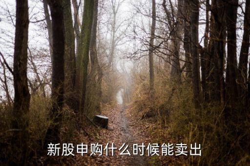 603609新股什么時候可以交易，新股申購后多久可以賣