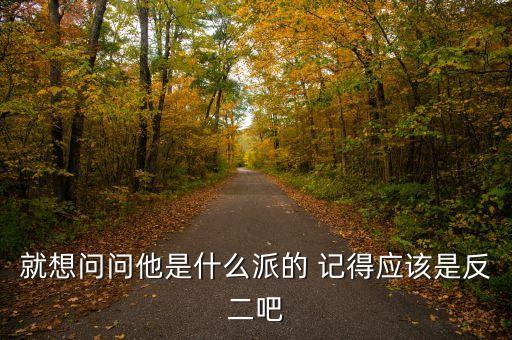 就想問問他是什么派的 記得應該是反二吧