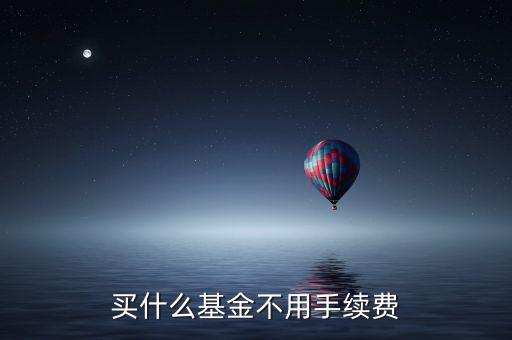 買(mǎi)什么基金不用手續(xù)費(fèi)