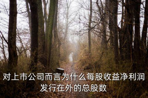 對上市公司而言為什么每股收益凈利潤發(fā)行在外的總股數(shù)