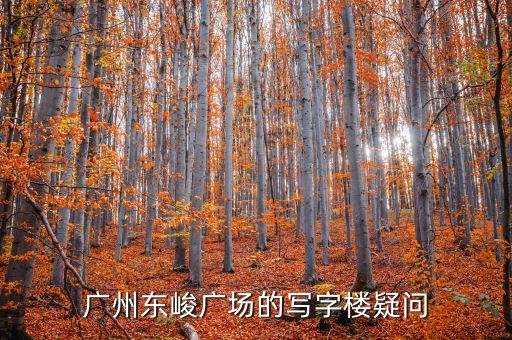 廣州東峻廣場的寫字樓疑問