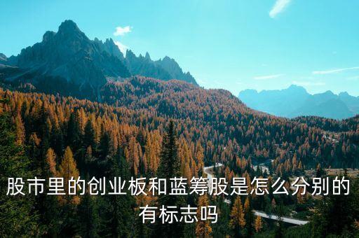股市里的創(chuàng)業(yè)板和藍(lán)籌股是怎么分別的有標(biāo)志嗎