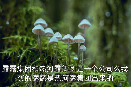 露露投資主要做什么，露露集團和熱河露集團是一個公司么我買的露露是熱河露集團出來的