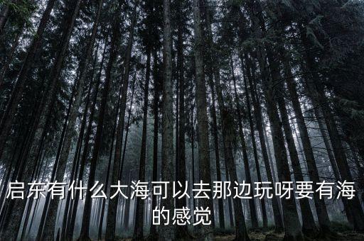 啟東有什么大?？梢匀ツ沁呁嫜揭泻５母杏X