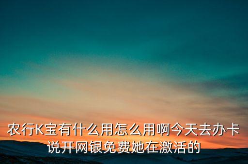 農(nóng)行K寶有什么用怎么用啊今天去辦卡說開網(wǎng)銀免費(fèi)她在激活的