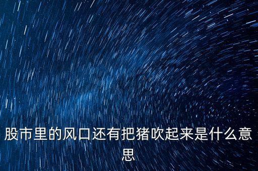 股市里的風(fēng)口還有把豬吹起來是什么意思