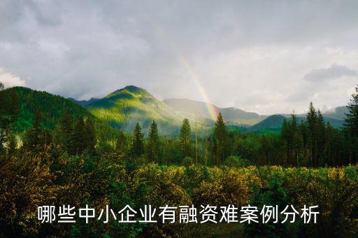 哪些中小企業(yè)有融資難案例分析