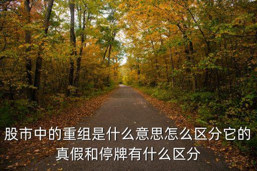 重組停牌什么意思，重大資產(chǎn)重組繼續(xù)停牌是什么意思