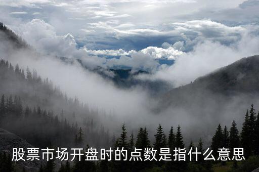 股市點數是什么意思，股票市場開盤時的點數是指什么意思