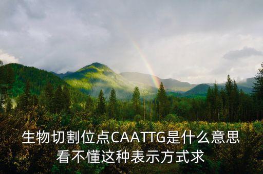 什么是破位點(diǎn)，生物切割位點(diǎn)CAATTG是什么意思看不懂這種表示方式求
