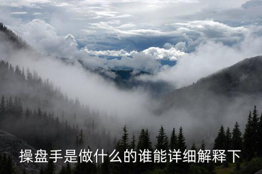 操盤手做什么投資由誰決定，操盤手是做什么的誰能詳細解釋下