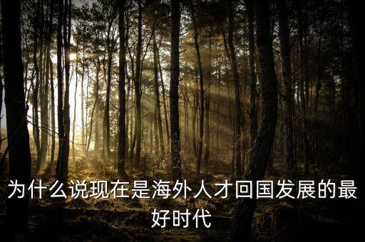 為什么說(shuō)現(xiàn)在是海外人才回國(guó)發(fā)展的最好時(shí)代