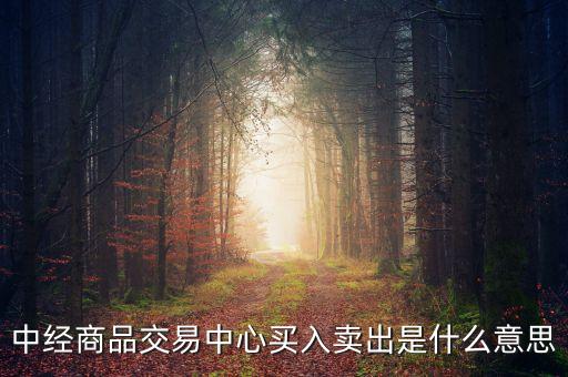 中經(jīng)商品交易中心買(mǎi)入賣出是什么意思