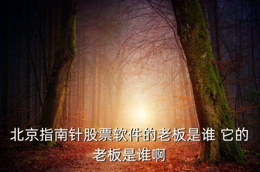 北京指南針股票軟件的老板是誰 它的老板是誰啊