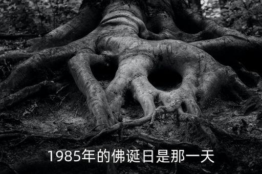 趙人偉1985說(shuō)過(guò)什么，這是個(gè)怎樣的時(shí)代Fr19852008