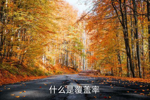 什么是覆蓋率