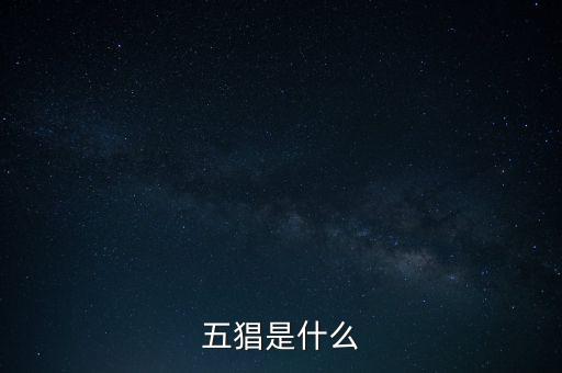 什么是創(chuàng)智5，YY上面的五項創(chuàng)始人是誰