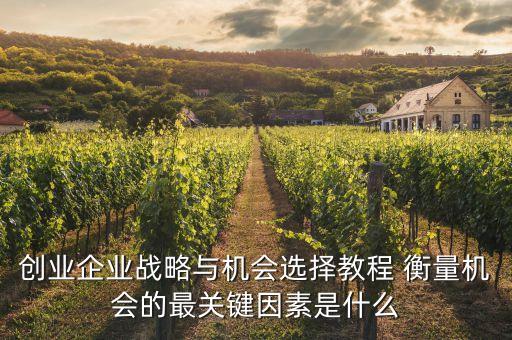 創(chuàng)業(yè)企業(yè)戰(zhàn)略與機(jī)會選擇教程 衡量機(jī)會的最關(guān)鍵因素是什么