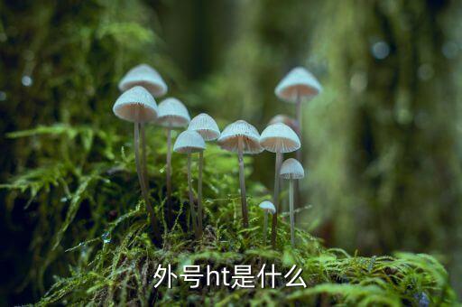 買(mǎi)受人號(hào)碼ht是什么，備案合同中買(mǎi)受人號(hào)碼HT