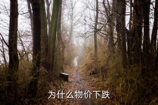 為什么物價下跌
