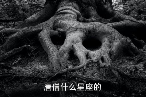 唐僧師徒什么星座，唐僧什么星座的